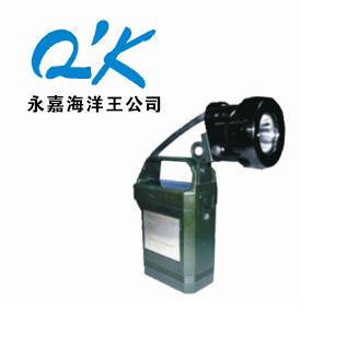 供应IW5120便携式免维护强光防爆工作灯 